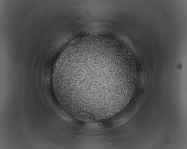 X0000093440499200710191044