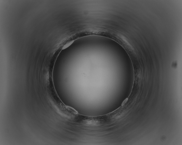 X0000093440500200710191044
