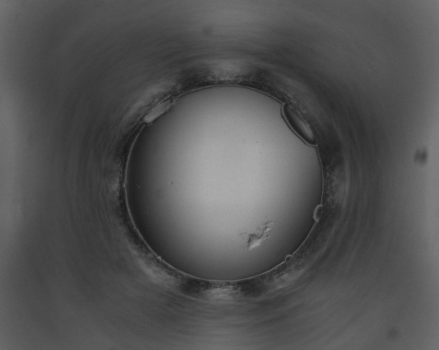 X0000093440505200710191044