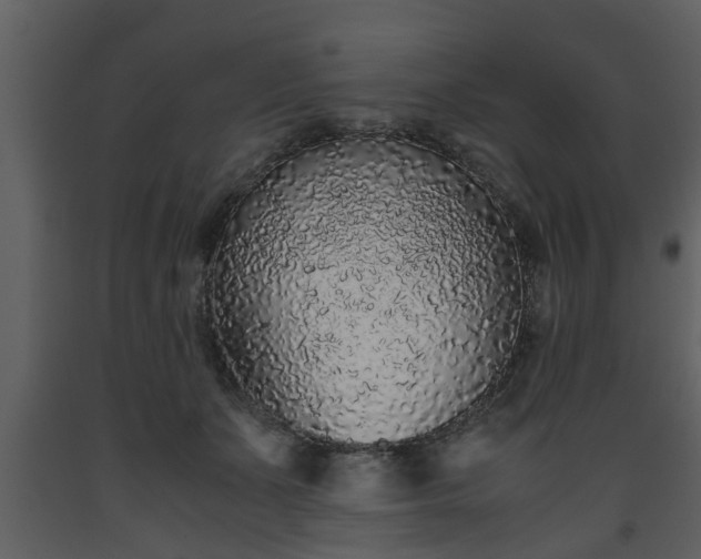 X0000093440511200710191044