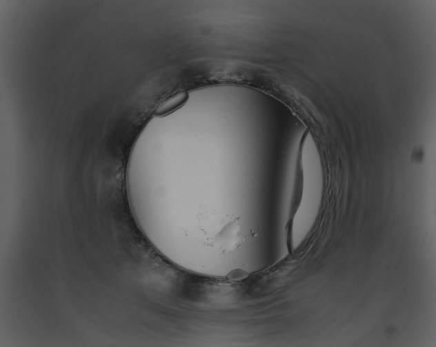 X0000093440513200710191044