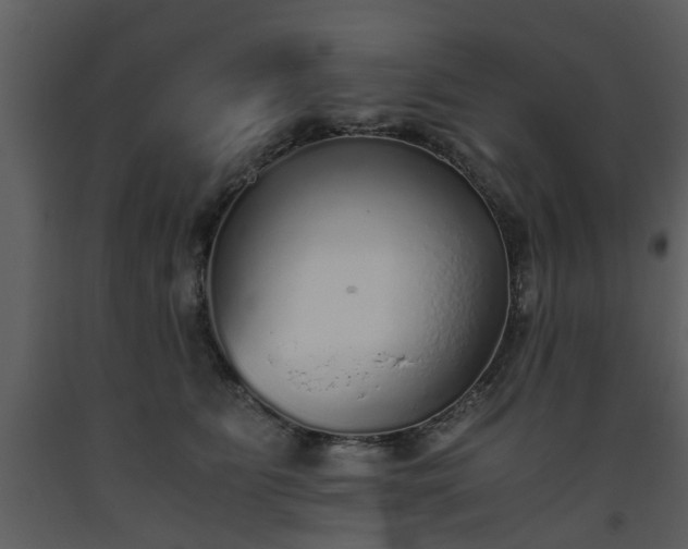 X0000093440515200710191044