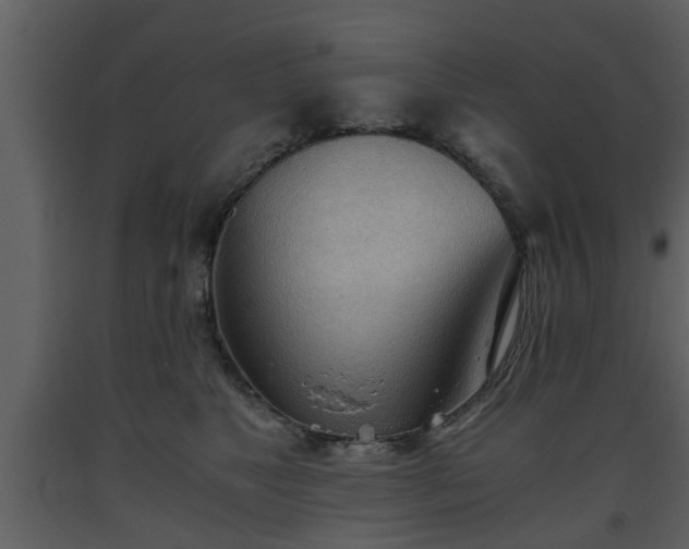 X0000093440517200710191044