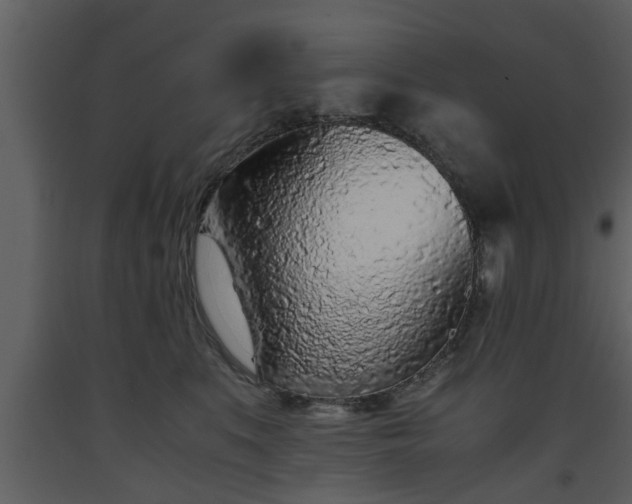 X0000093440519200710191044
