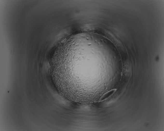 X0000093440523200710191044