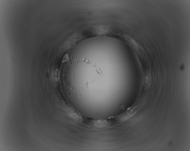 X0000093440525200710191043