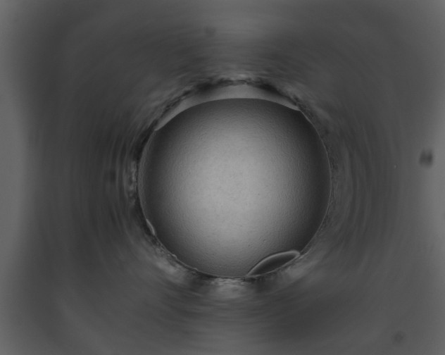 X0000093440528200710191043