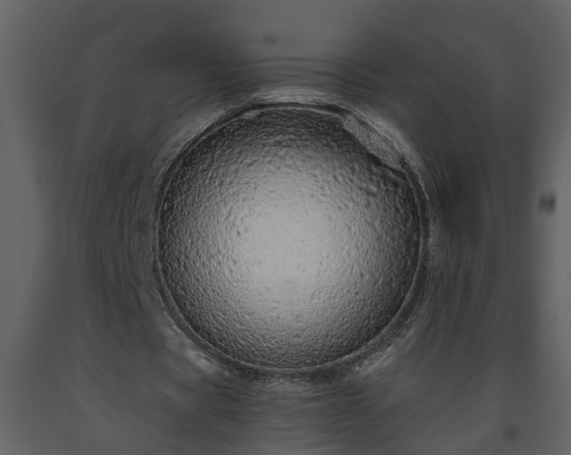 X0000093440529200710191043