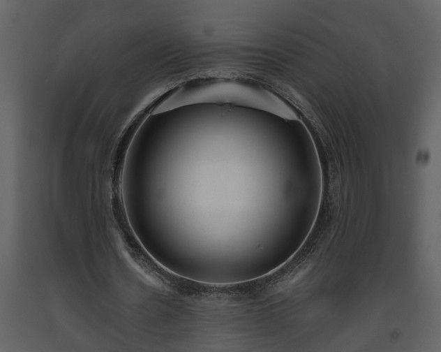 X0000093440530200710191043