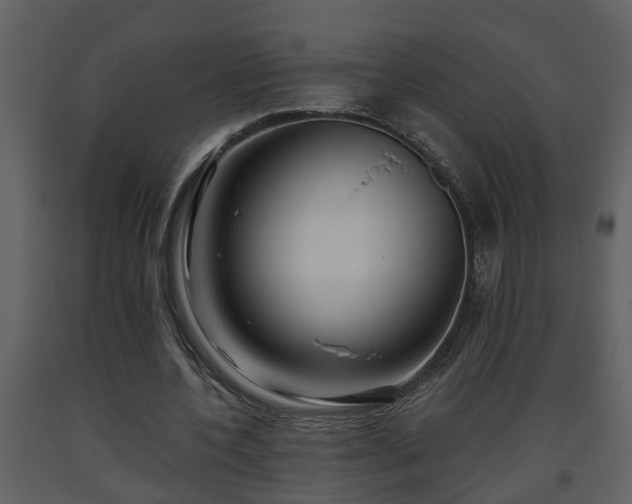 X0000093440532200710191043