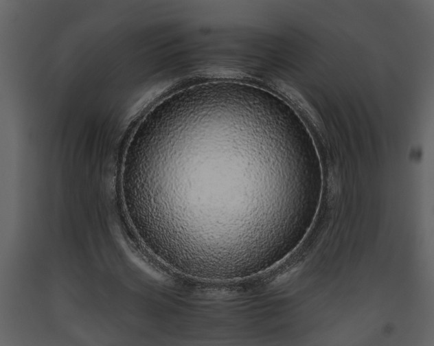 X0000093440533200710191043