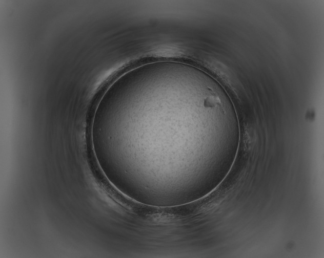X0000093440535200710191043