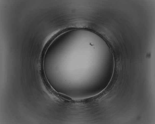 X0000093440536200710191043