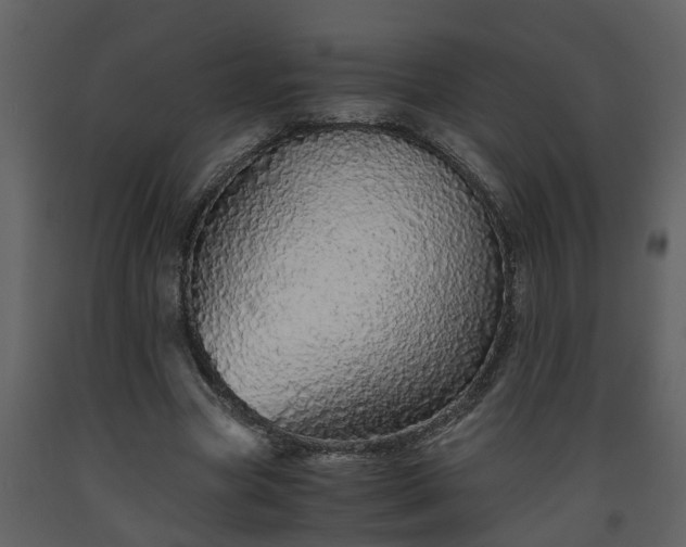 X0000093440537200710191043