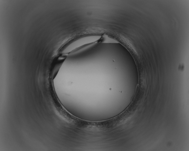 X0000093440538200710191043