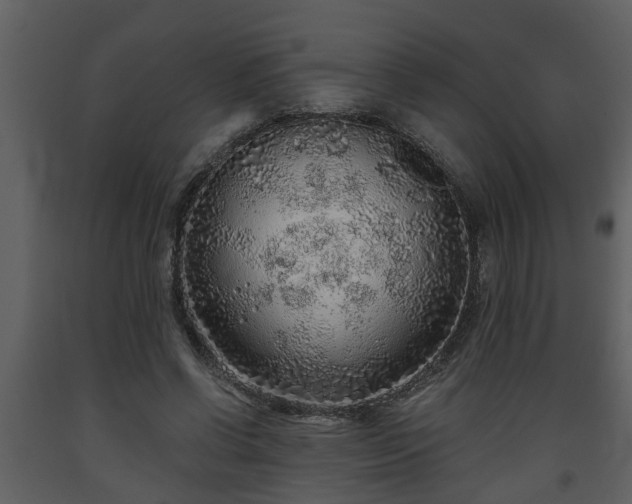 X0000093440542200710191043