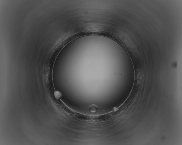X0000093440544200710191043