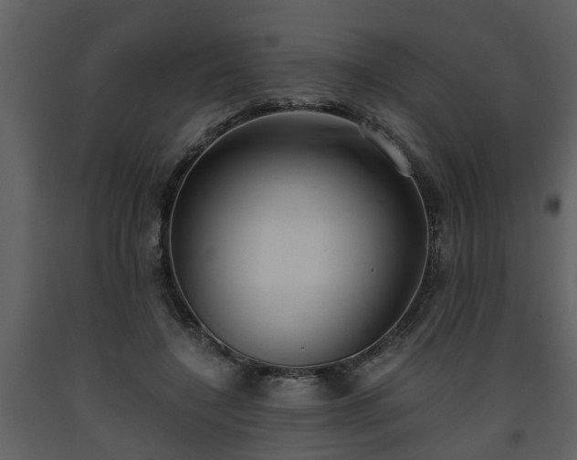 X0000093440548200710191043