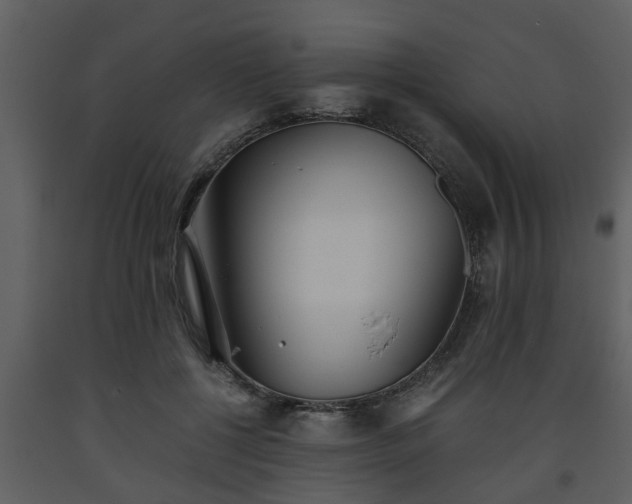 X0000093440552200710191043