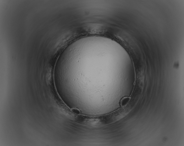 X0000093440554200710191043