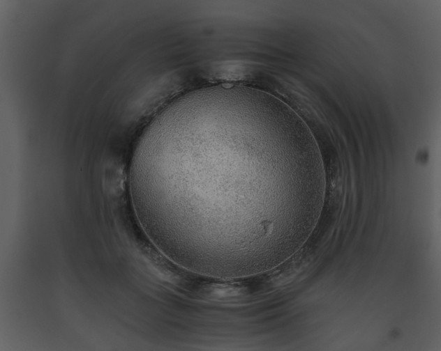 X0000093440555200710191043