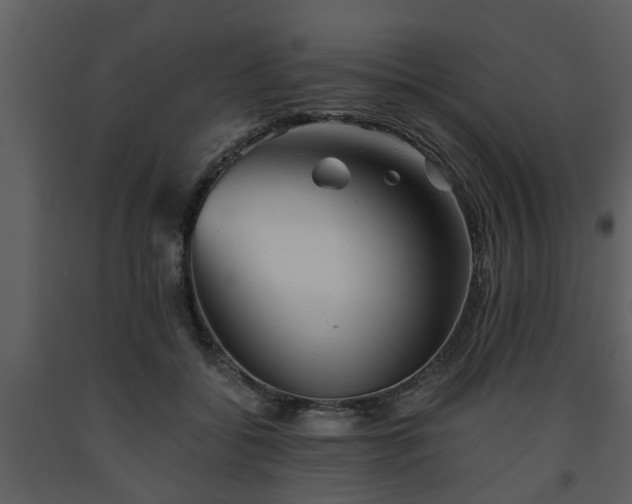 X0000093440556200710191043