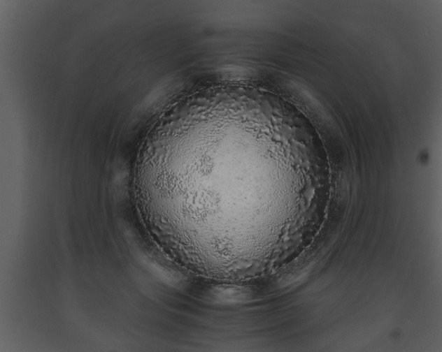X0000093440557200710191043