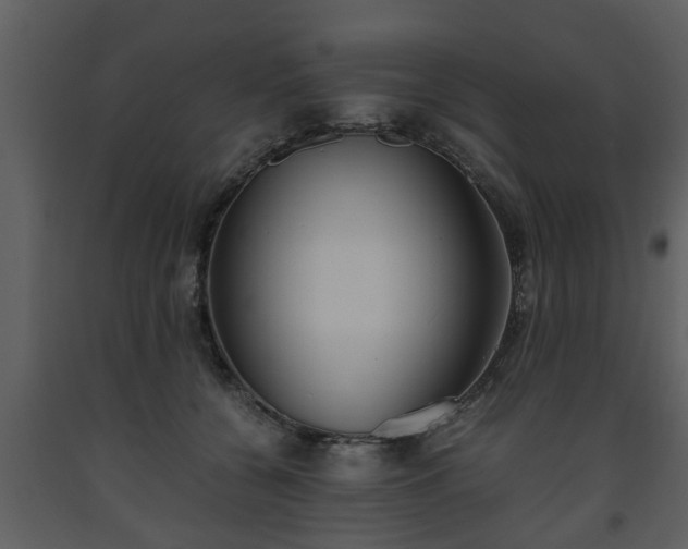 X0000093440560200710191043