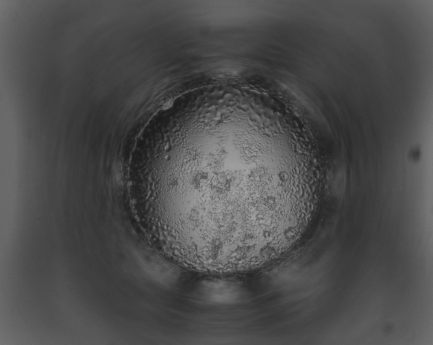 X0000093440561200710191043