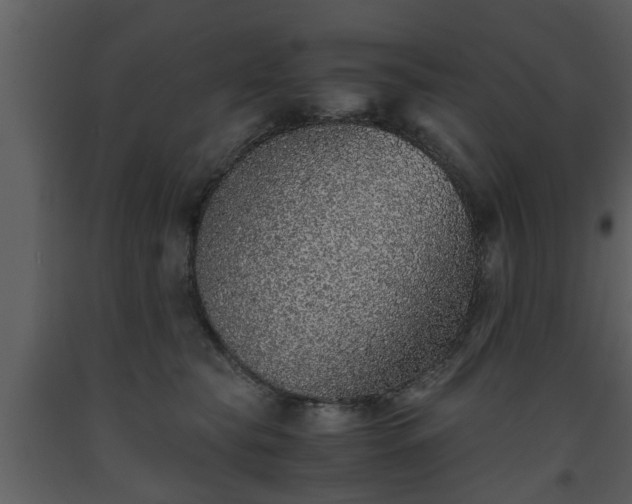 X0000093440565200710191043