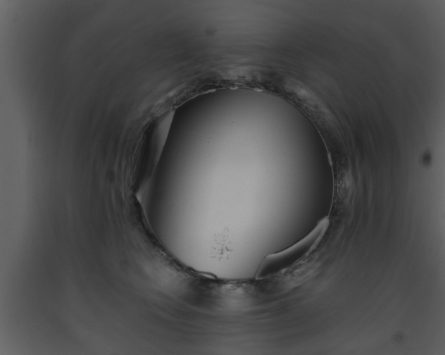 X0000093440566200710191043