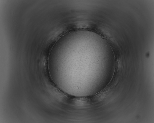 X0000093440567200710191043