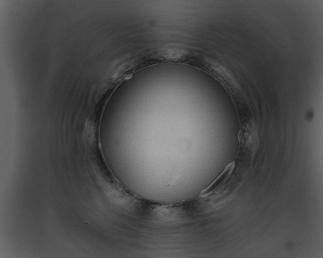 X0000093440568200710191043