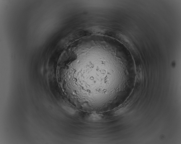 X0000093440573200710191043