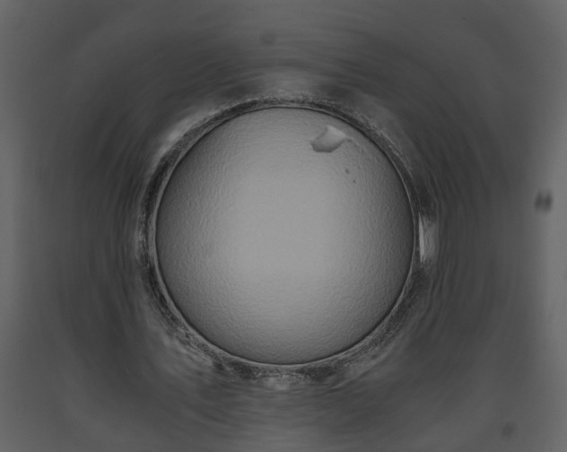 X0000093440579200710191043