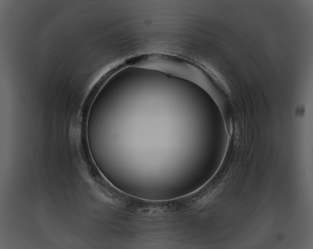 X0000093440580200710191043