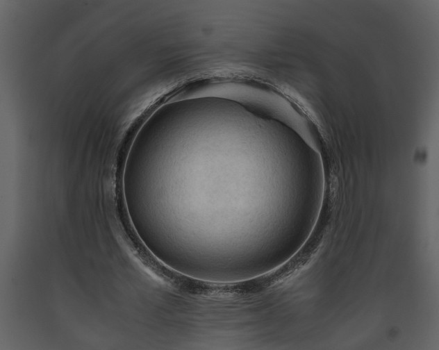 X0000093440581200710191043