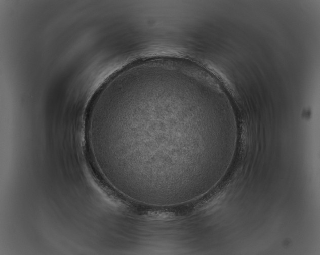 X0000093440582200710191043