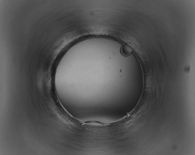 X0000093440584200710191043