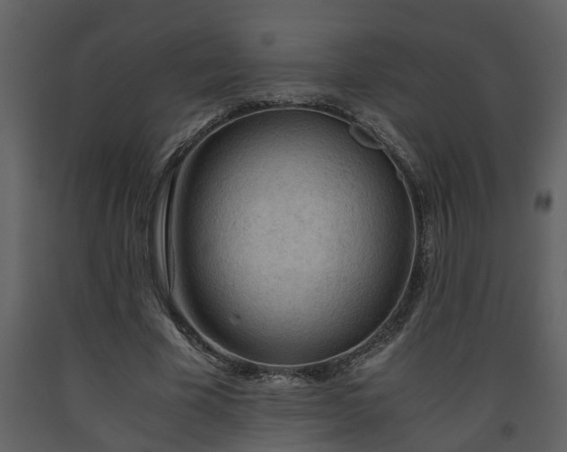 X0000093440585200710191043