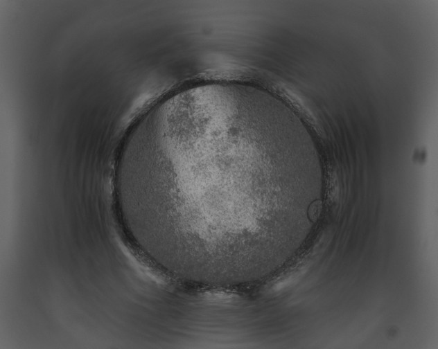 X0000093440586200710191043