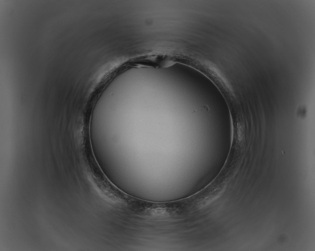 X0000093440588200710191043