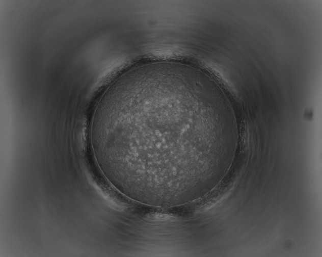 X0000093440590200710191043