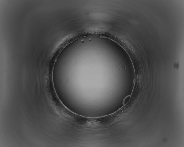 X0000093440591200710191043