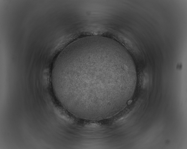 X0000093440594200710191043