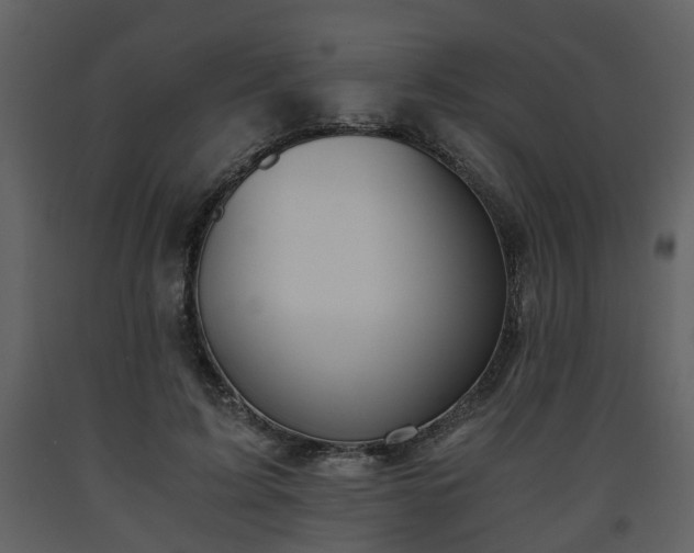 X0000093440595200710191043