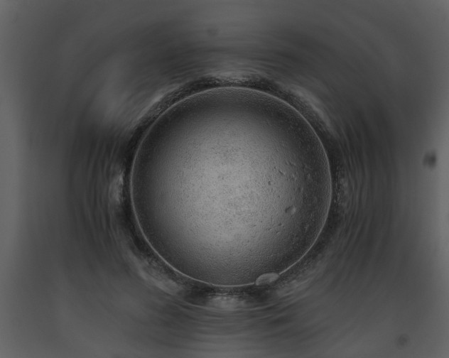 X0000093440596200710191043