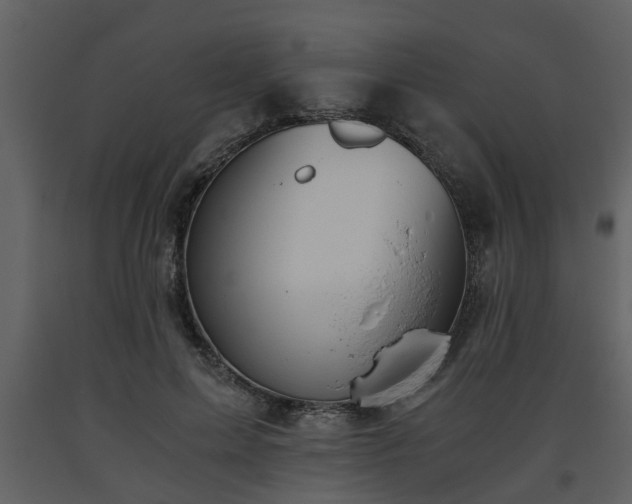 X0000093440599200710191043