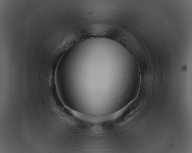 X0000093440600200710191043