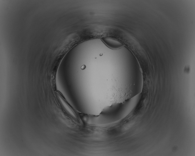 X0000093440601200710191043